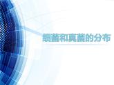 第五单元 第四章 第一节 细菌和真菌的分布 课件