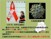 第五单元 第五章 病毒 课件