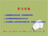 第五单元 第五章 病毒 课件