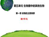 第五单元 第一章 第六节  鸟 课件