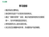 第五单元 第一章 第六节  鸟 课件