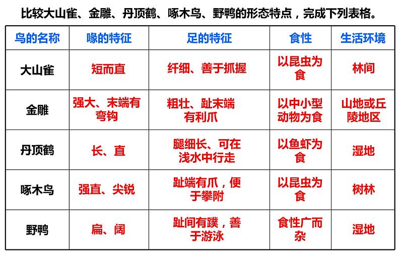 第五单元 第一章 第六节  鸟 课件05