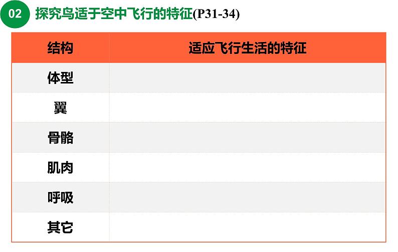 第五单元 第一章 第六节  鸟 课件08