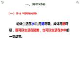 第五单元 第一章 第五节  两栖动物和爬行动物 课件