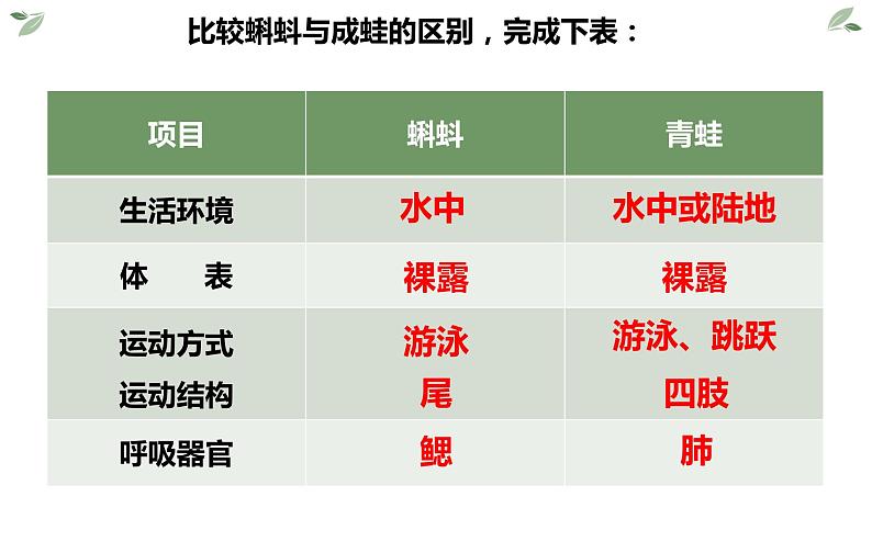 第五单元 第一章 第五节  两栖动物和爬行动物 课件06