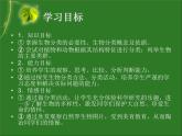 第六单元 第一章 第一节 尝试对生物进行分类 课件