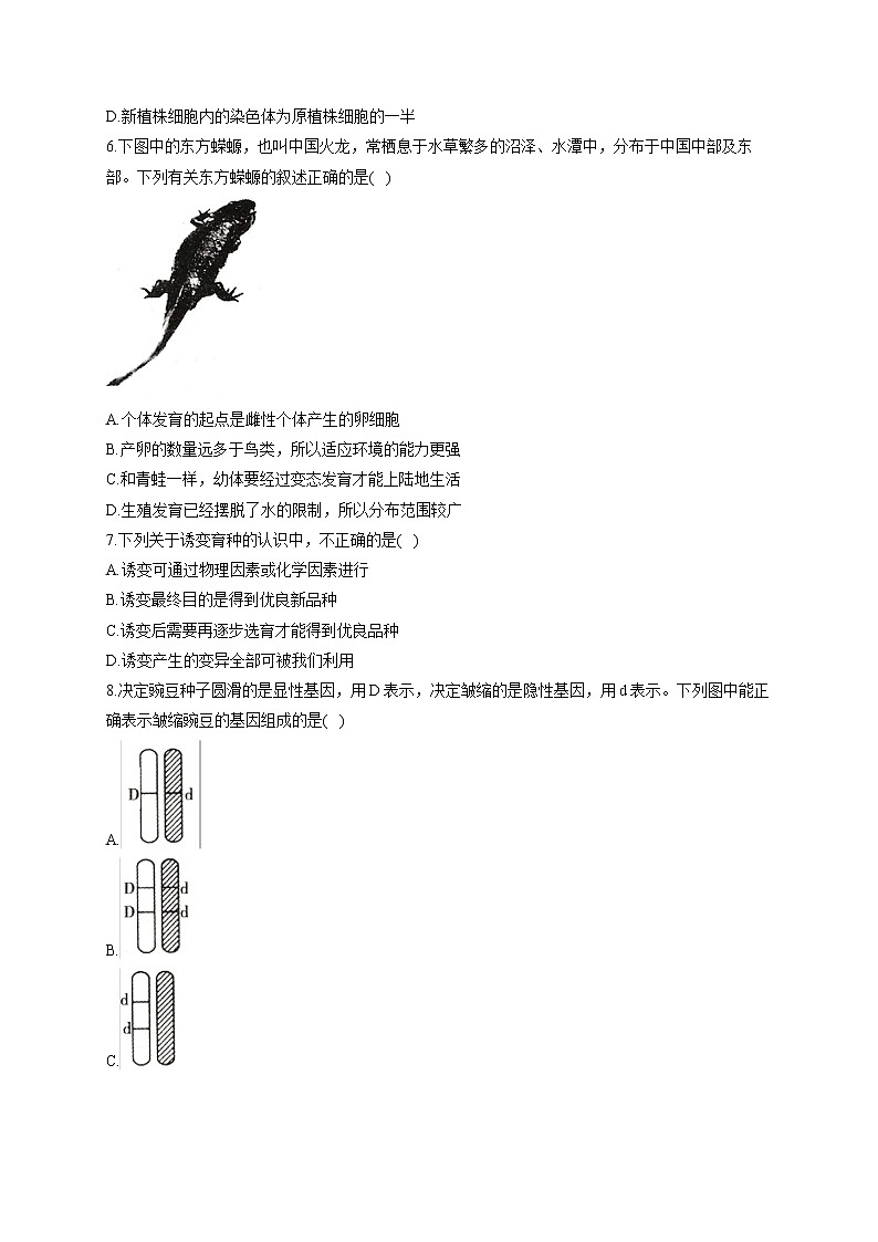 2021-2022学年苏教版生物八年级下学期期末测评卷B卷02