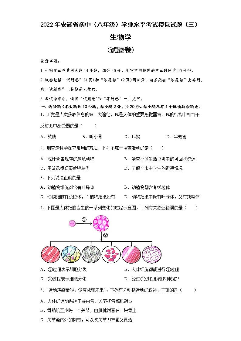 2022年安徽省滁州市初中学业水平考试生物模拟试题（三）(word版含答案)01