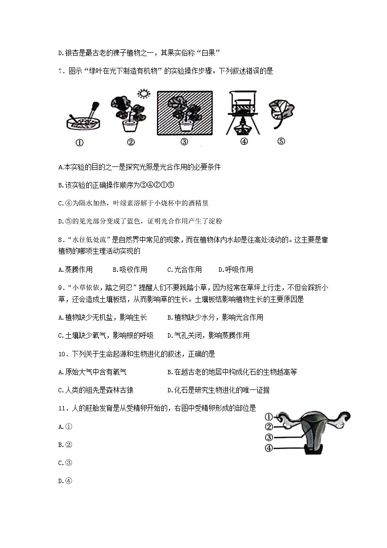 2022年山东省临沂市中考生物真题(word版无答案)第3页