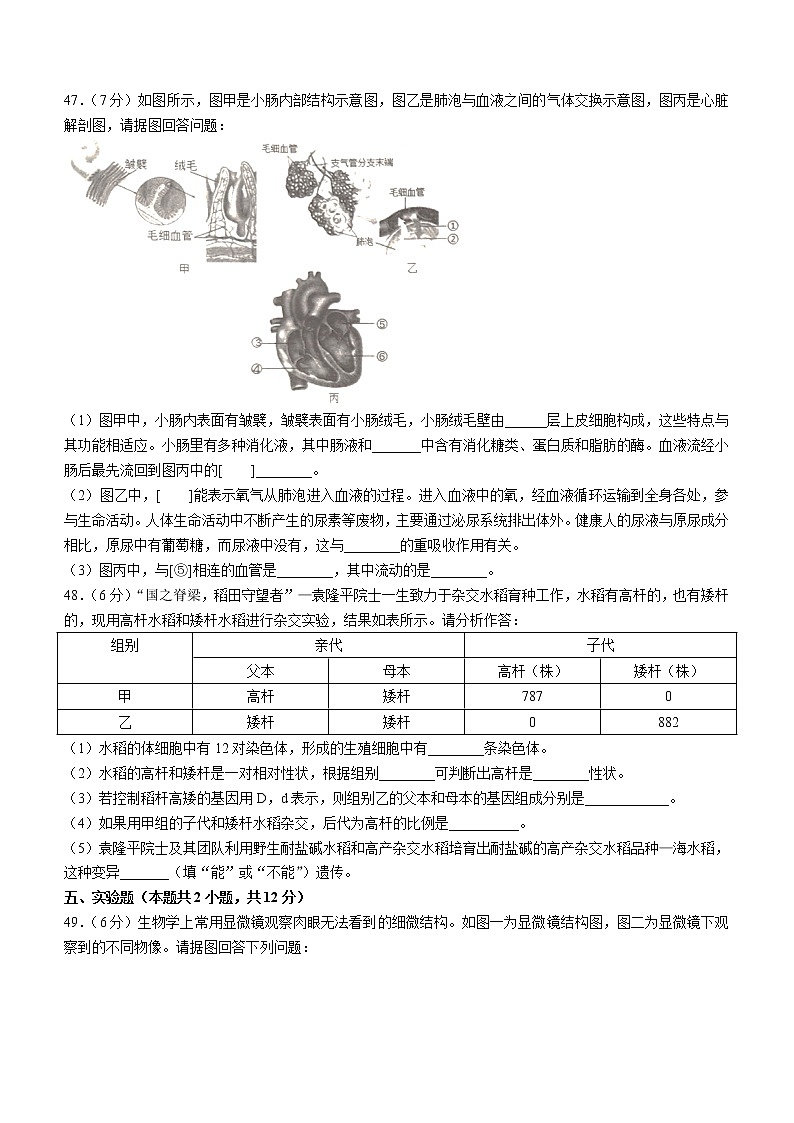 2022年辽宁省大连市金普新区中考一模生物试题(word版含答案)第3页
