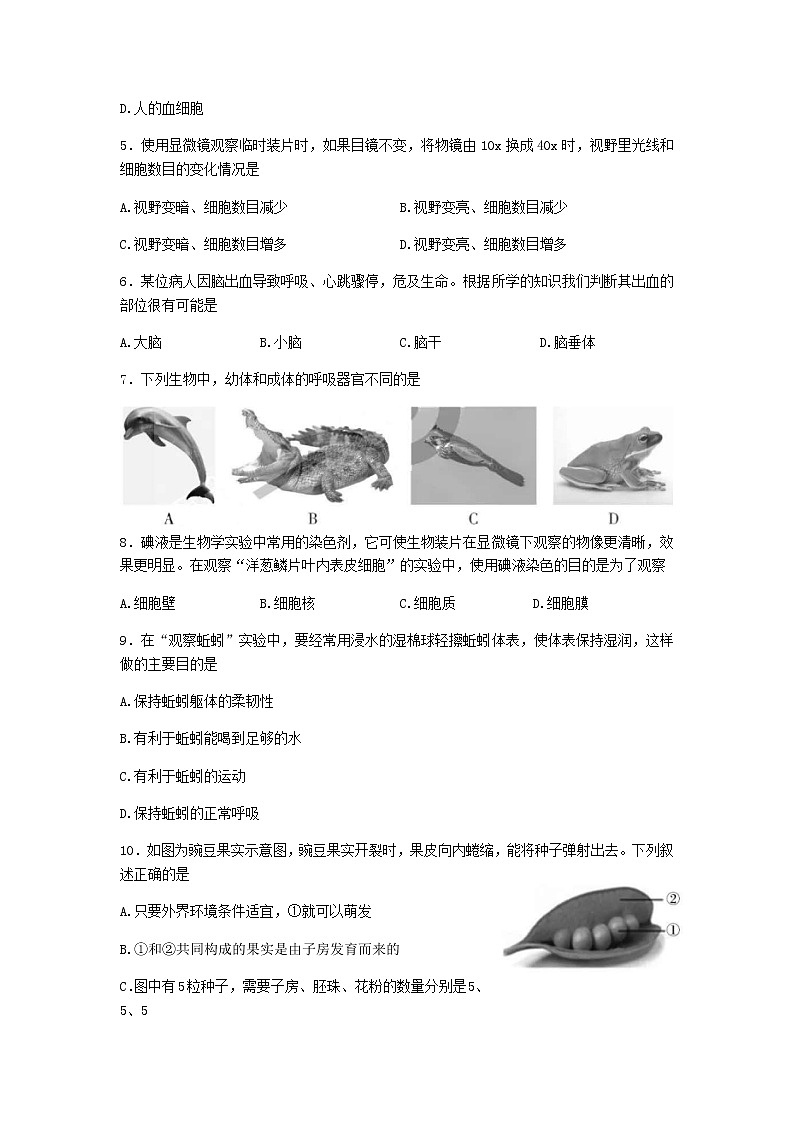 2022年山西省初中学业水平考试模拟测试（三）中考生物试卷(word版含答案)第2页