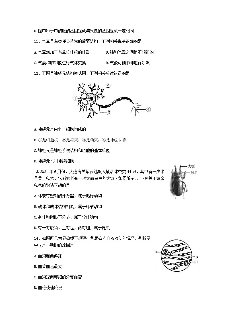 2022年山西省初中学业水平考试模拟测试（三）中考生物试卷(word版含答案)第3页