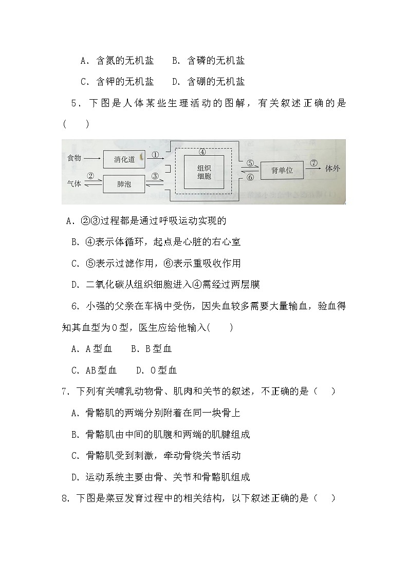 2022年安徽省初中学业水平考试最后冲刺卷（四）  生物学试卷(word版含答案)第2页
