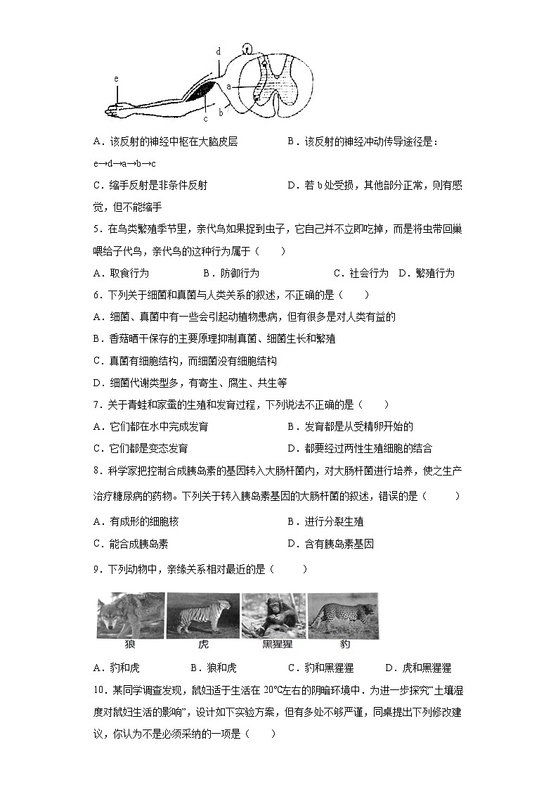 2022年安徽省滁州市初中学业水平考试生物模拟试题(word版含答案)第2页
