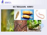 第一章第四节《鱼》课件+教案