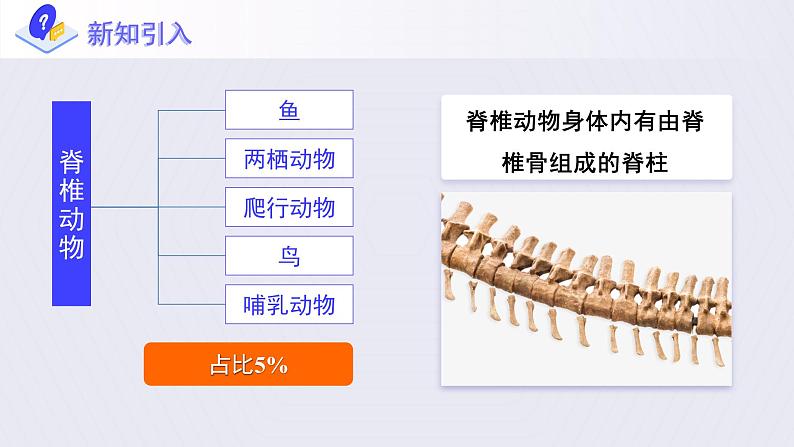 第一章第四节《鱼》课件+教案06