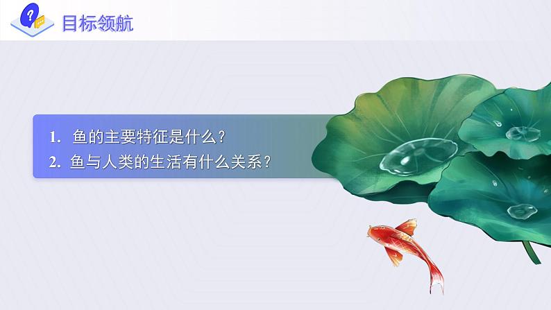 第一章第四节《鱼》课件+教案07