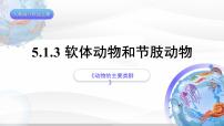 初中生物人教版 (新课标)八年级上册第三节   软体动物和节肢动物优质ppt课件