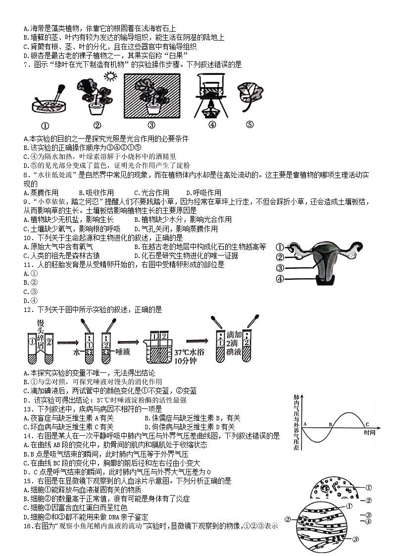 2022年山东省临沂市中考真题生物卷及答案（文字版）第2页
