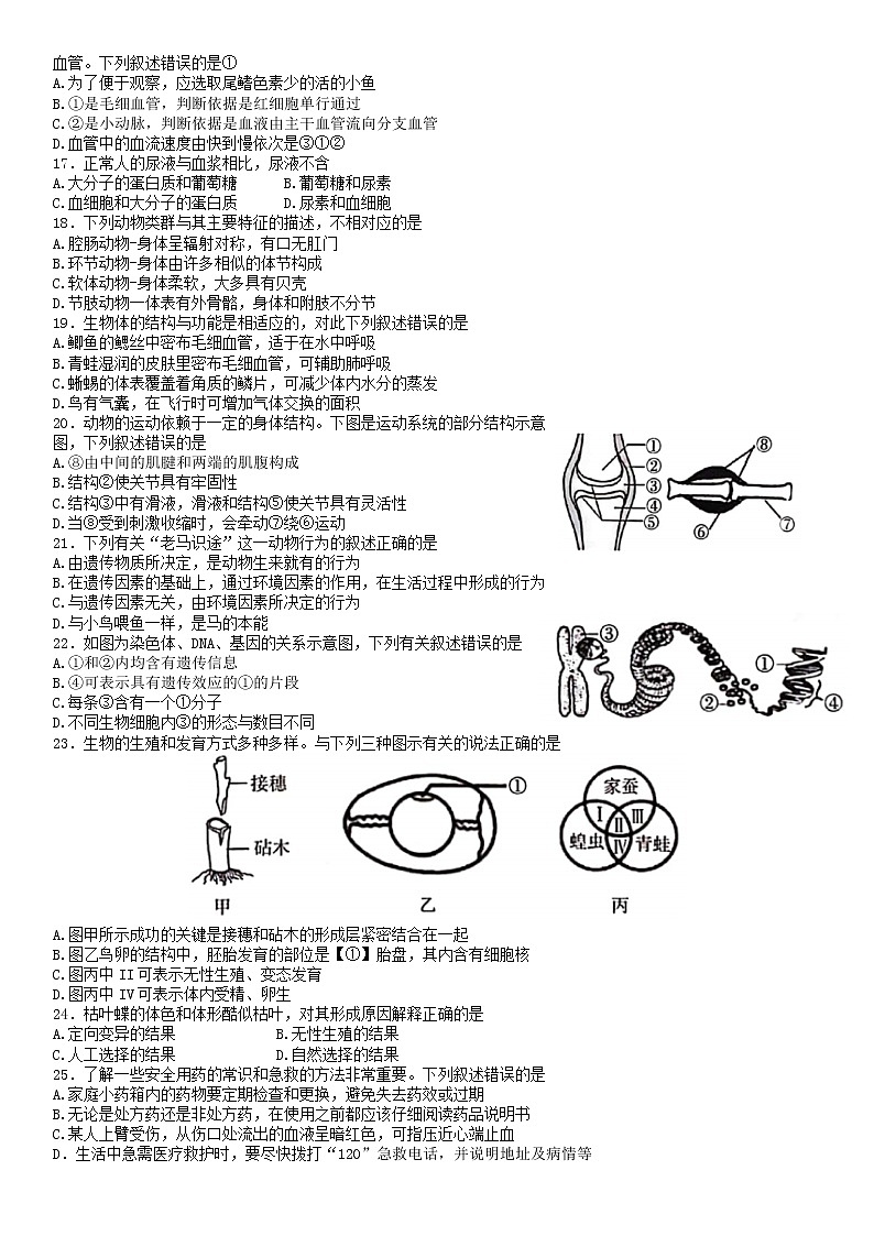 2022年山东省临沂市中考真题生物卷及答案（文字版）第3页