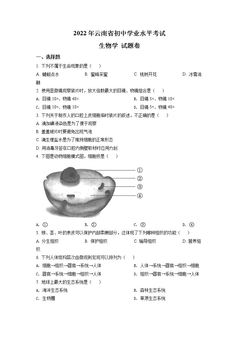2022年云南省中考真题生物（试卷）第1页
