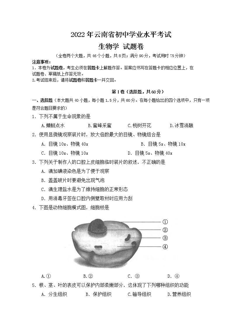 2022年云南省初中学业水业考试生物试卷(word版无答案)第1页