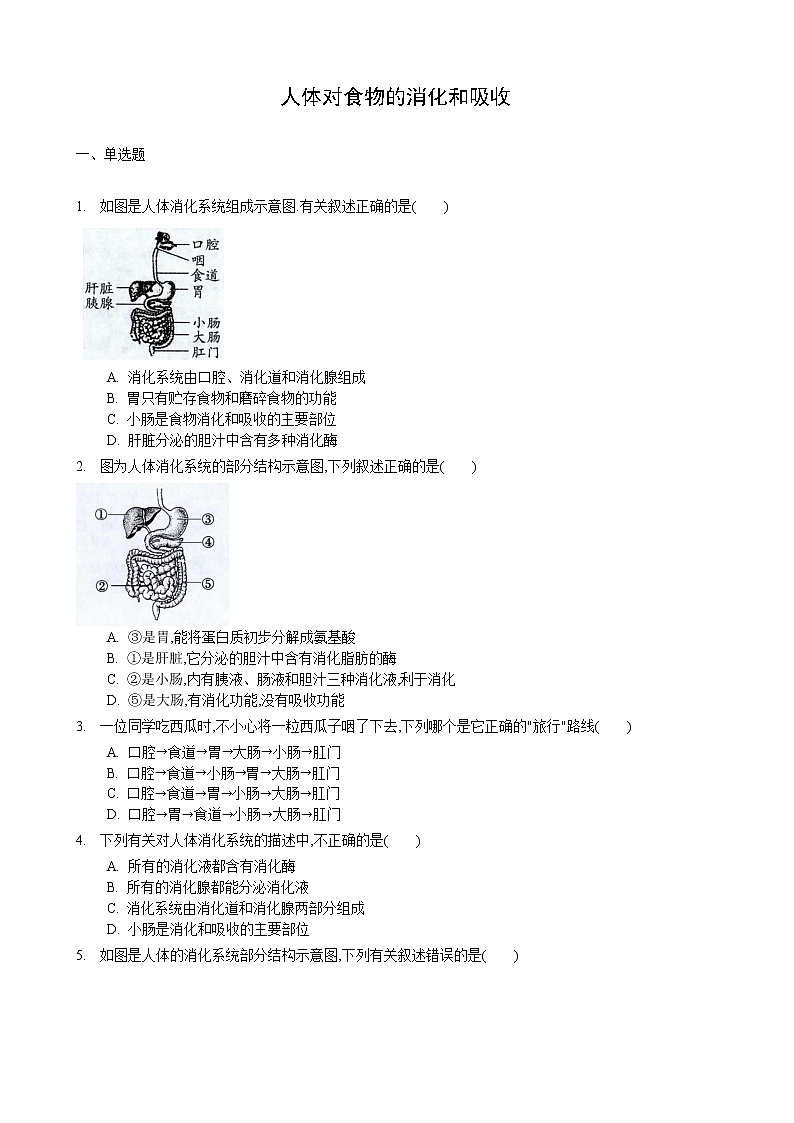 5.4 人体对食物的消化和吸收 第1课时-七年级生物上册 课件+练习（苏科版）01