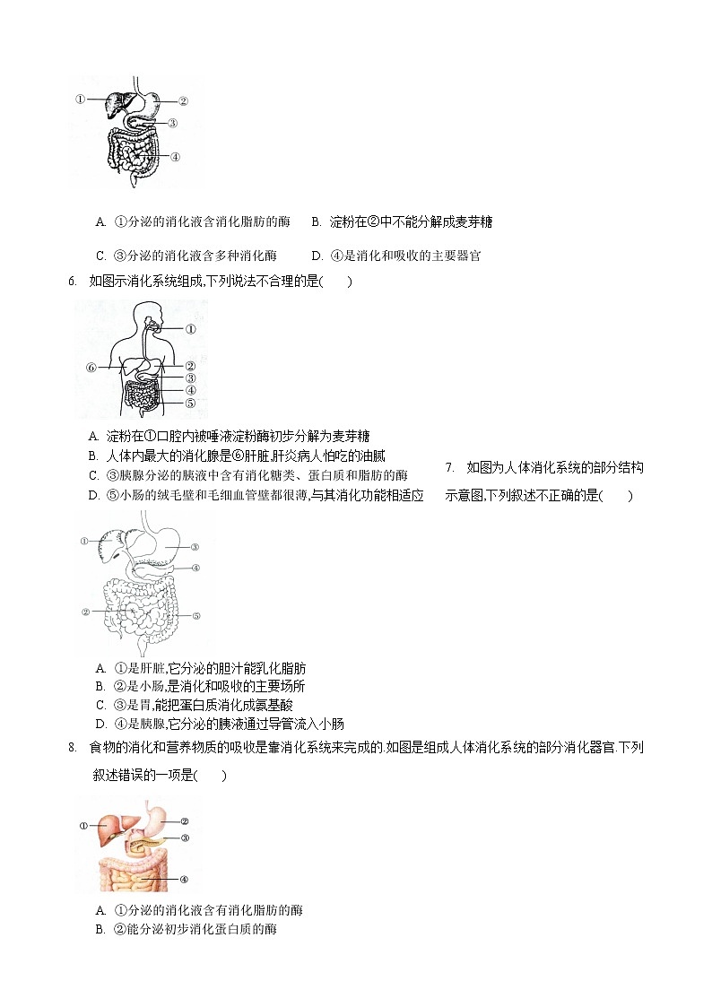 5.4 人体对食物的消化和吸收 第1课时-七年级生物上册 课件+练习（苏科版）02