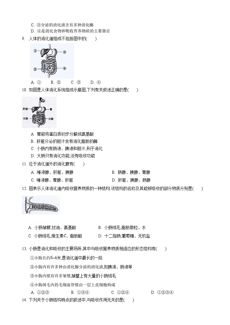 5.4 人体对食物的消化和吸收 第1课时-七年级生物上册 课件+练习（苏科版）03