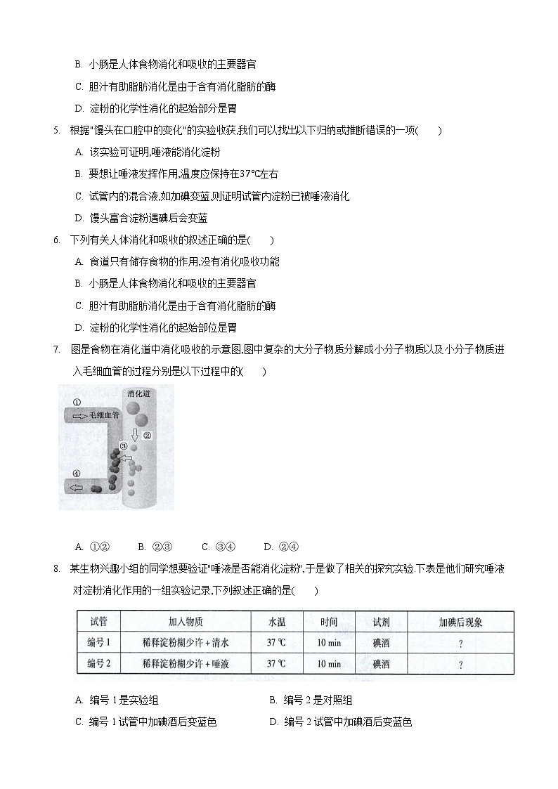 5.4 人体对食物的消化和吸收第2课时（练习）（原卷版）第2页