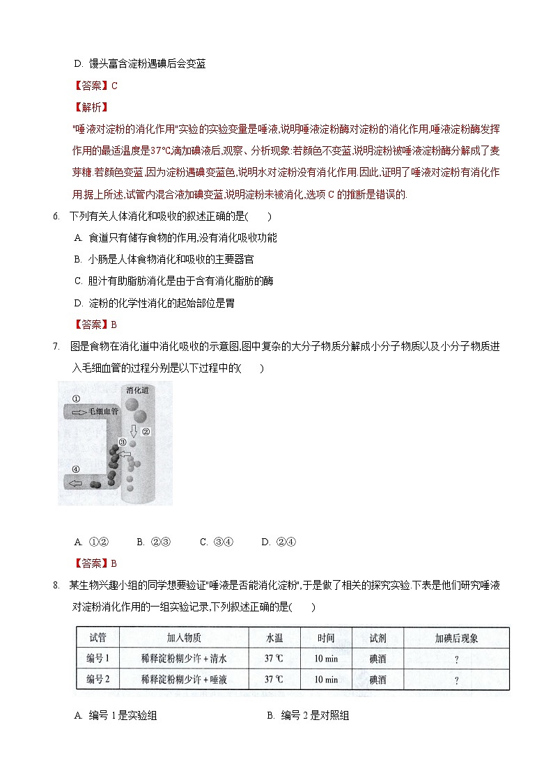 5.4 人体对食物的消化和吸收第2课时（练习）（解析版）第3页
