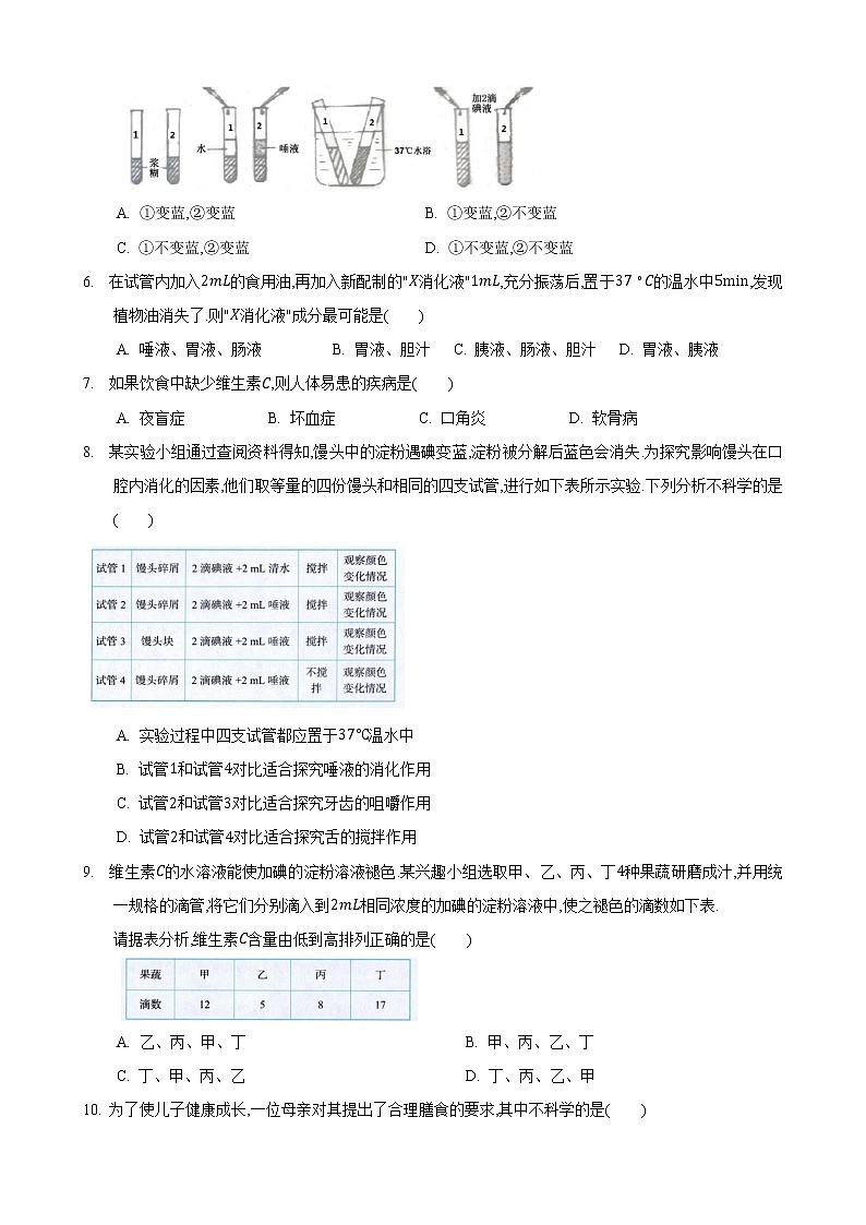 5.4 人体对食物的消化和吸收第3课时（练习）（原卷版）第2页