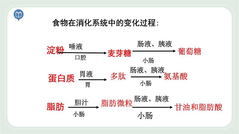 5.4 人体对食物的消化和吸收 第3课时-七年级生物上册 课件+练习（苏科版）02