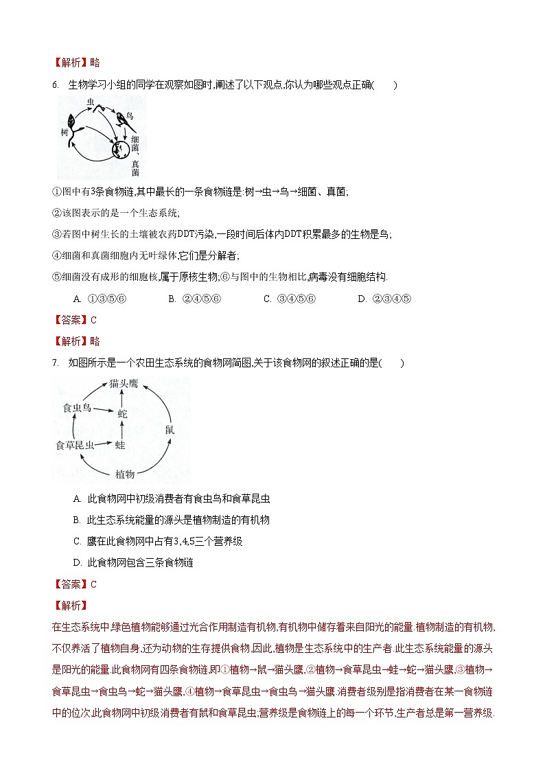 6.2 食物网-七年级生物上册 课件+练习（苏科版）03