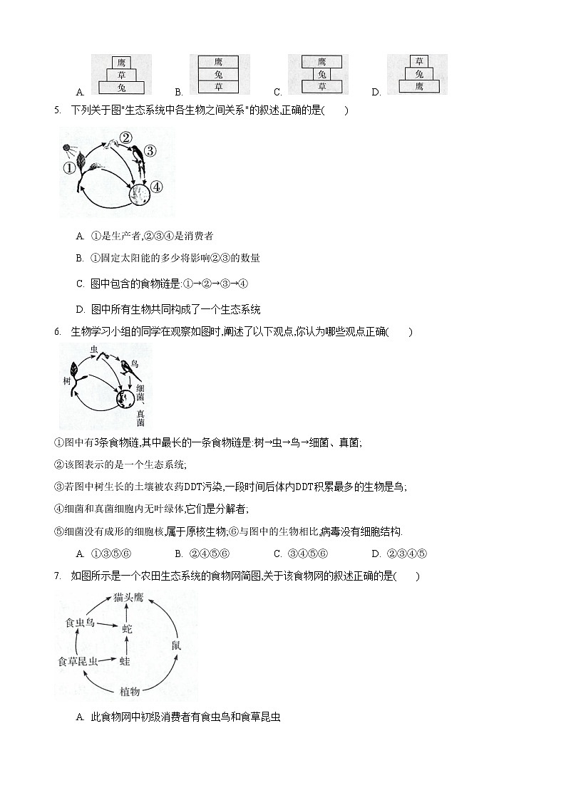 6.2 食物网-七年级生物上册 课件+练习（苏科版）02