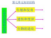 八年级下册生物复习课件