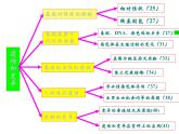 八年级下册生物复习课件