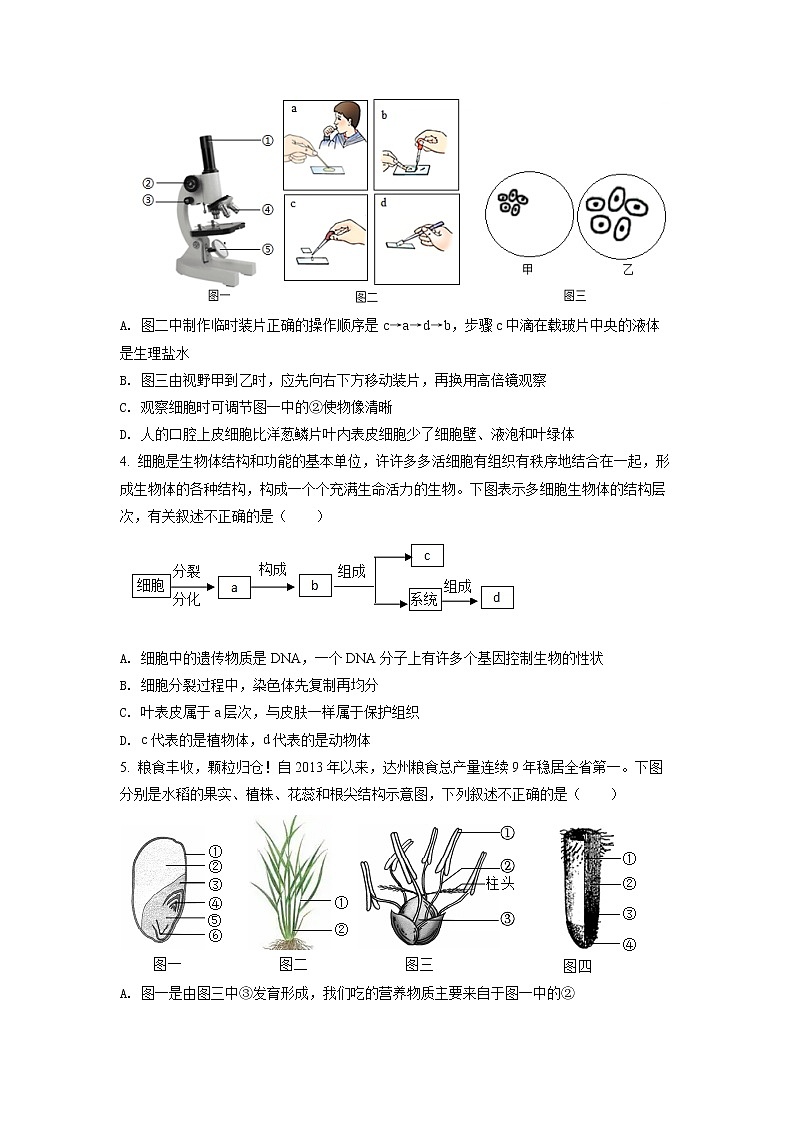 2022年四川省达州市中考真题生物卷及答案（文字版）02