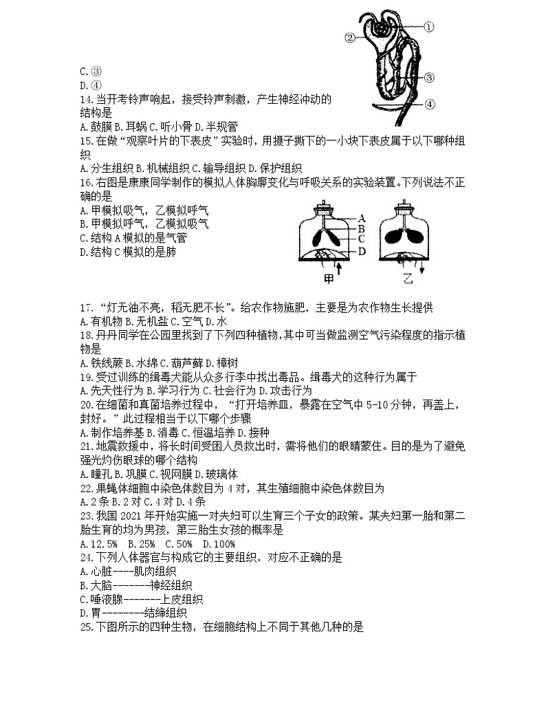 2022年湖南省怀化市中考真题生物卷及答案（文字版）第2页