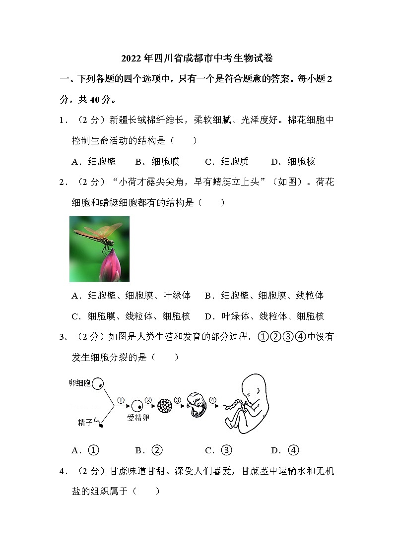 2022年四川省成都市中考生物试卷解析版01