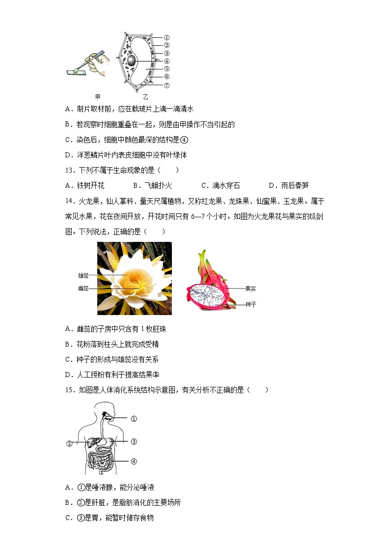 2022年内蒙古初中生物中考备考冲刺基础知识单选考前压轴卷（含答案）03