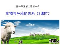 初中生物人教版 (新课标)七年级上册第一节 生物与环境的关系教学演示ppt课件