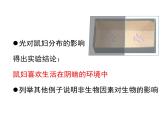 生物与环境的关系（2课时）课件