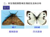 生物与环境的关系（2课时）课件