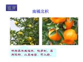 生物与环境的关系（2课时）课件