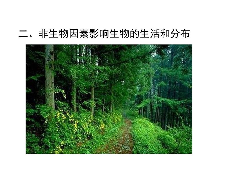 生物与环境的关系（2课时）课件第7页