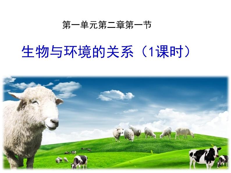 生物与环境的关系（1课时）课件第1页