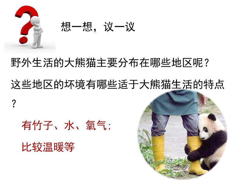 生物与环境的关系（1课时）课件第2页