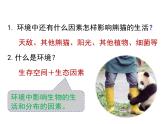 生物与环境的关系（1课时）课件
