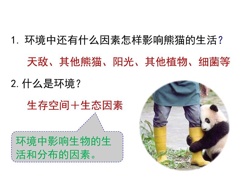 生物与环境的关系（1课时）课件第3页